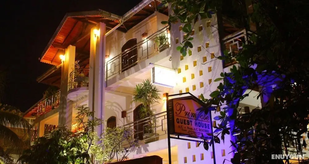 Primrose Guest house - Öne Çıkan Resim