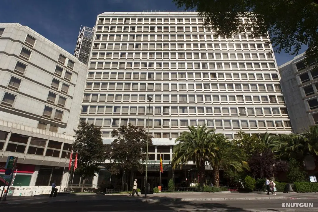 Hotel Princesa Plaza Madrid - Genel