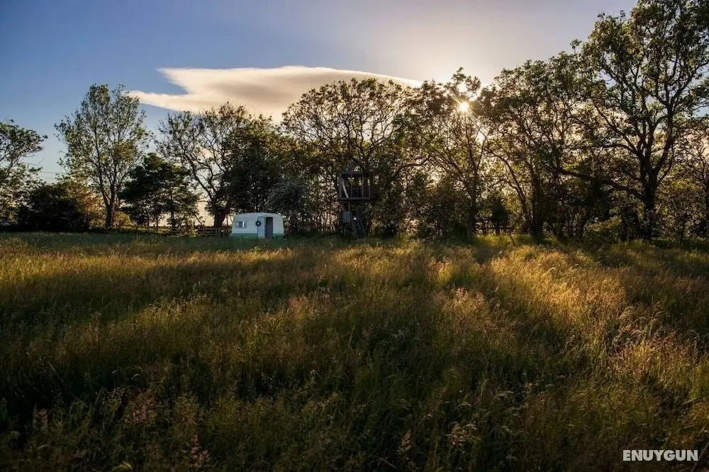Private Glamping in a Vintage Caravan & Bell Tent - Dış Mekanlar
