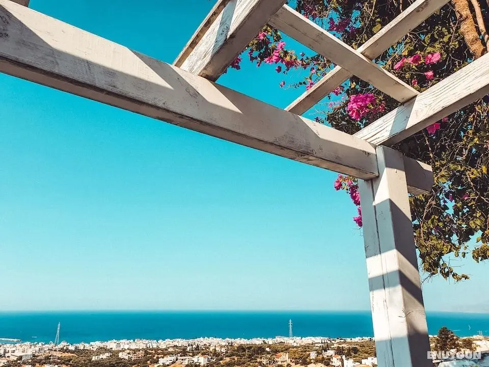 Private Junior Villa for up to 15 Persons - Dış Mekan