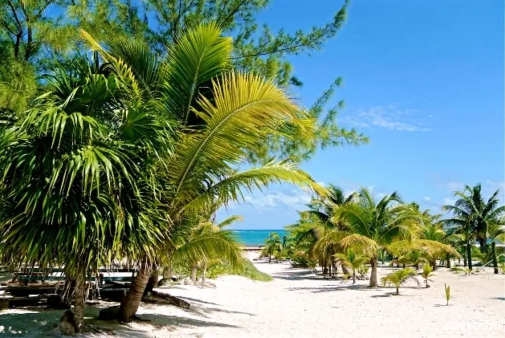 Private oceanfront house - lagoon access - Plaj