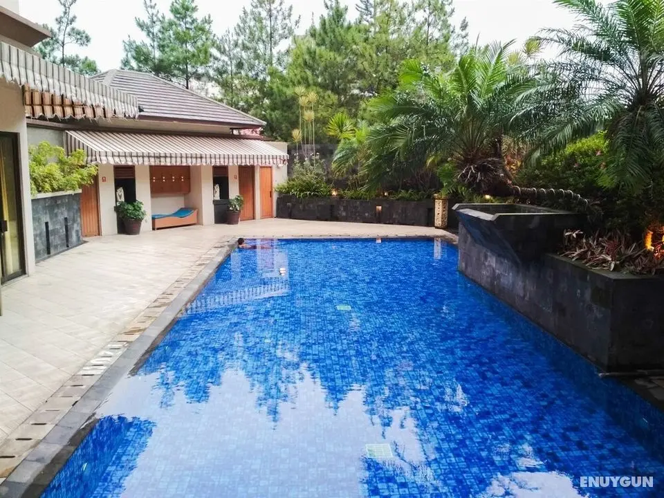 Private Spacious Executive Studio Room At Majesty Apartment Bandung - Havuz