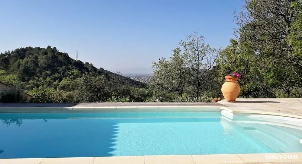 PROVENCE Dodo - Öne Çıkan Resim