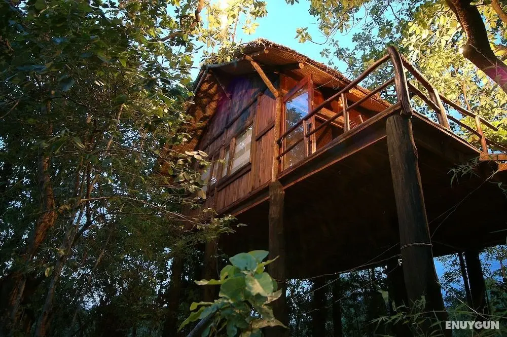 Pugdundee Safaris- Tree House Hideaway - Öne Çıkan Resim