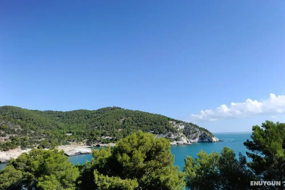 Pugnochiuso Resort - Hotel Degli Ulivi - Oda Manzaraları