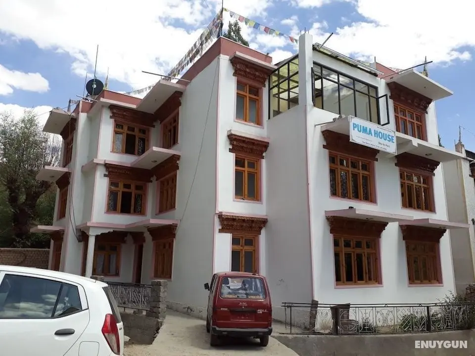 Hotel Puma House - Öne Çıkan Resim