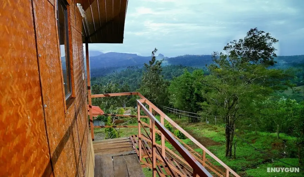 Punarjani Ayurvedic Resorts - Oda Düzeni