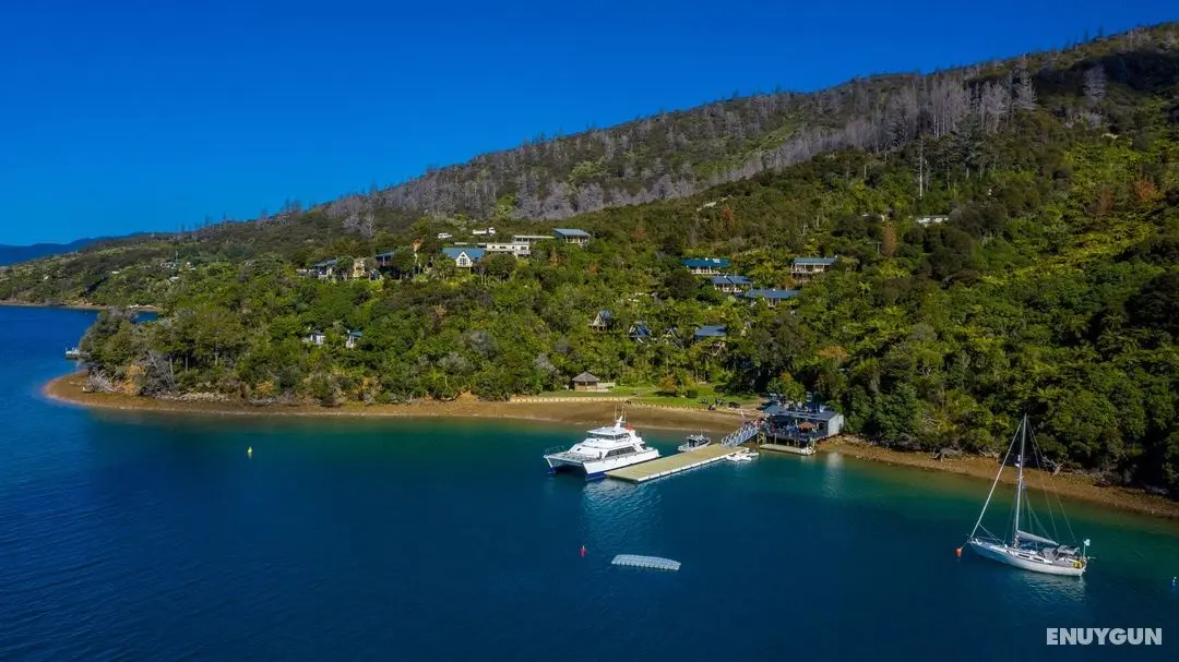 Punga Cove Resort - Öne Çıkan Resim