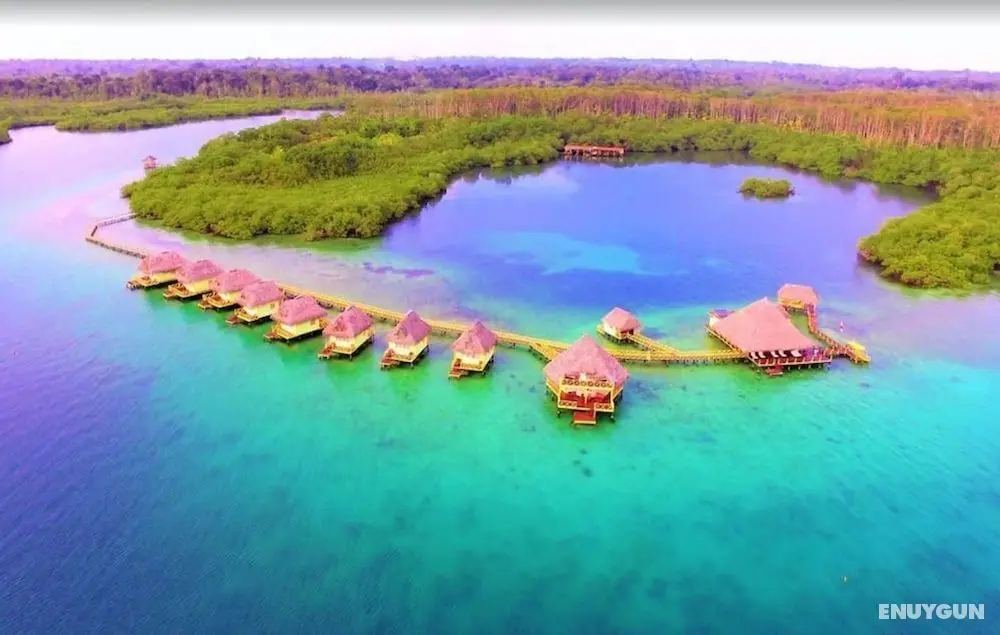Punta Caracol Acqua Lodge - Öne Çıkan Resim