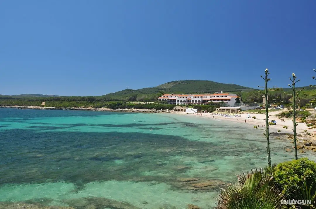 Punta Negra - Genel