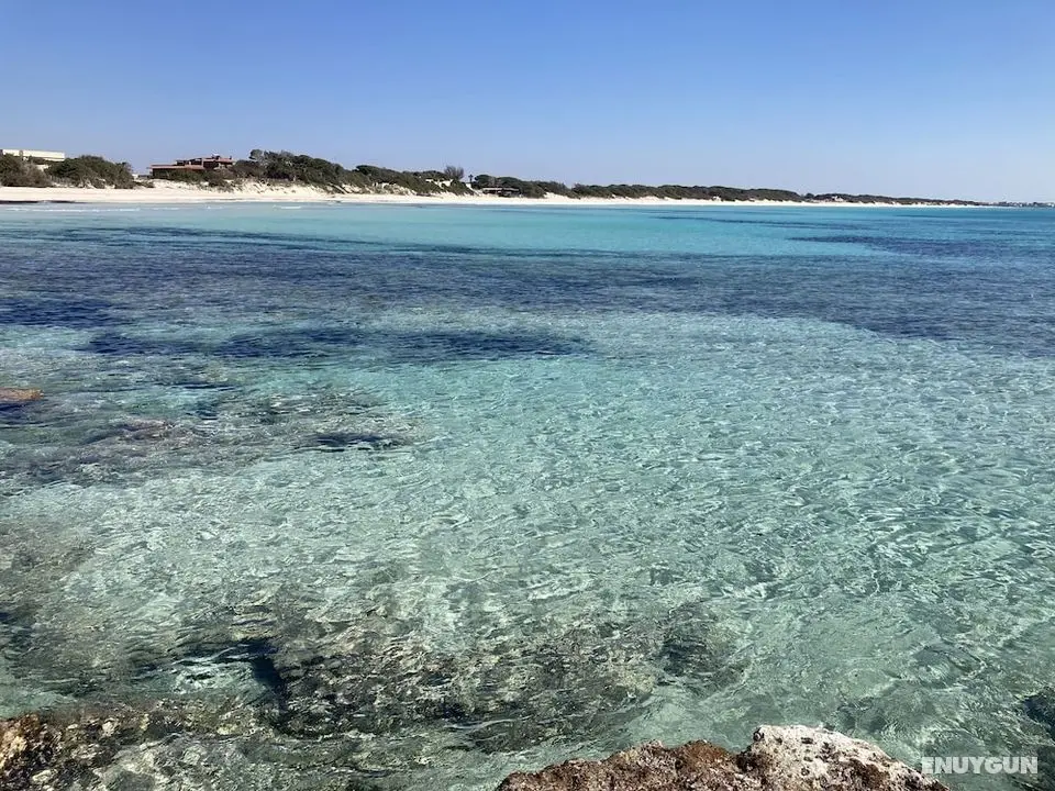 Punta Prosciutto Angel Bay B&B - Plaj