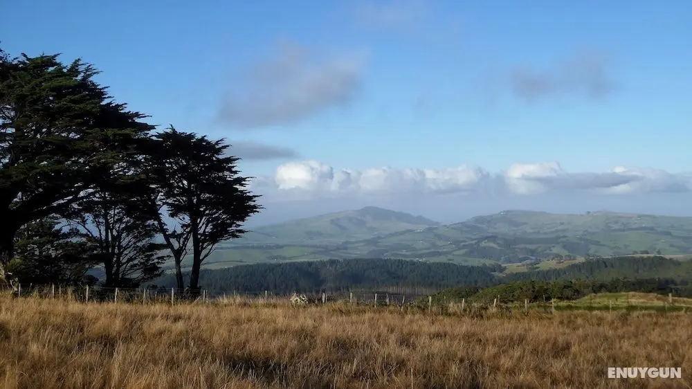 Pupu Rangi Nature Sanctuary - Conservation Area - Konum Öne Çıkanlar