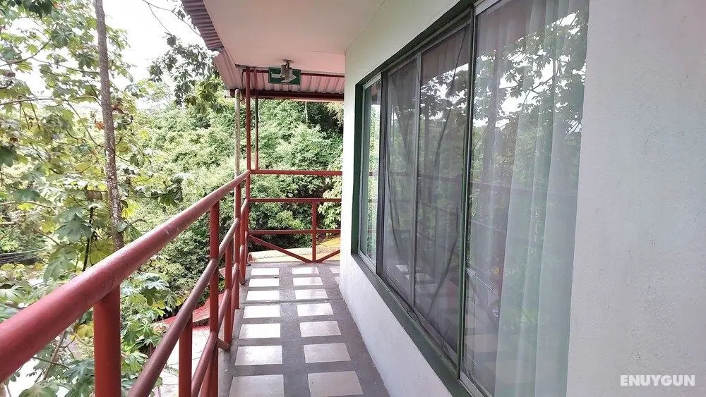 Pura Vida Hostel Manuel Antonio - Dış Mekan