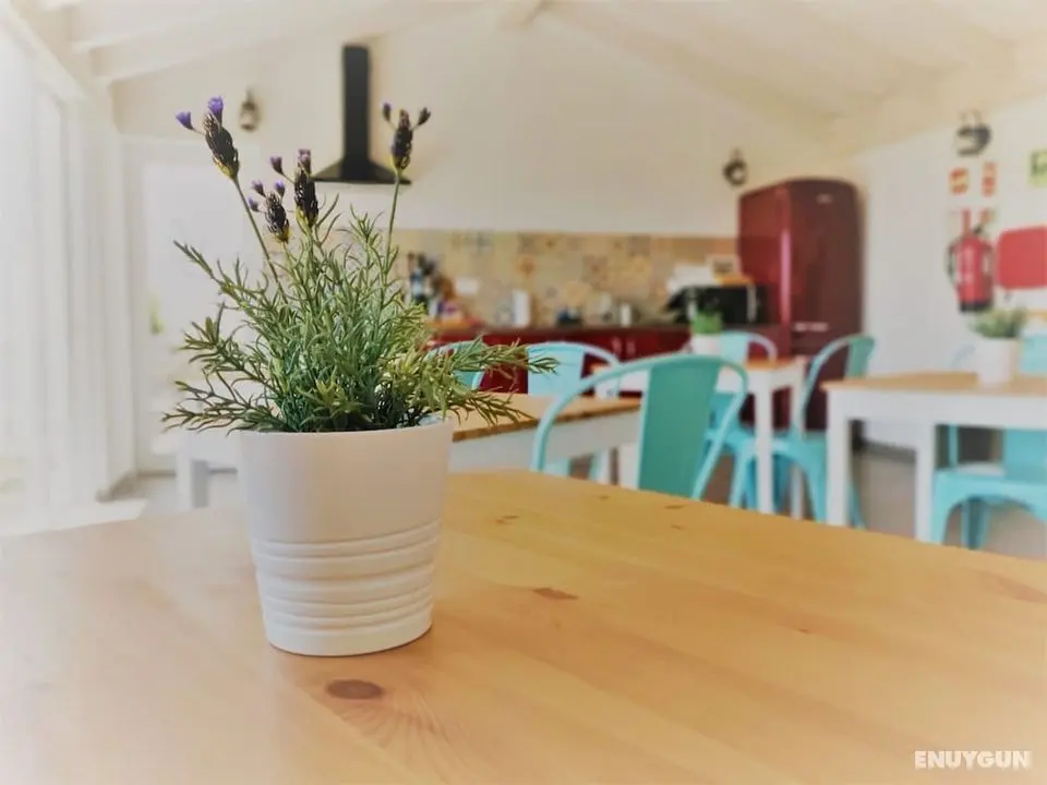Pure Flor de Esteva B&B - Öne Çıkan Resim