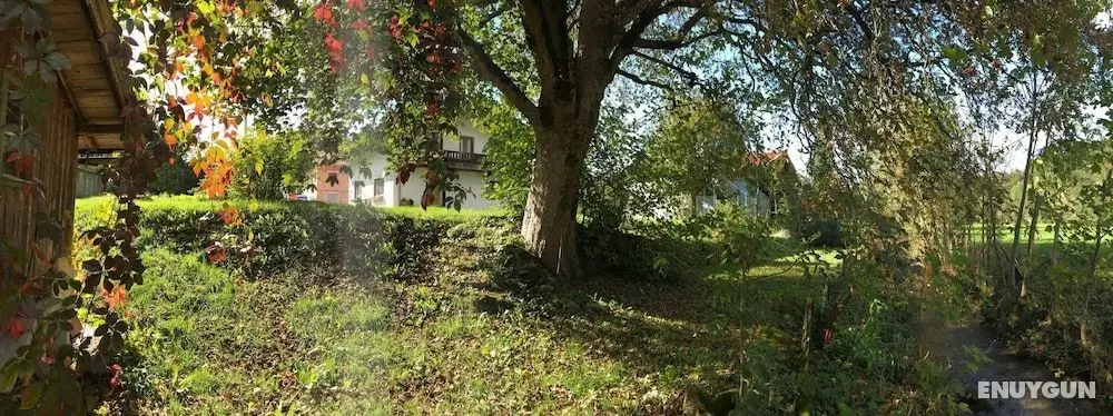 Pure nature alps - Öne Çıkan Resim