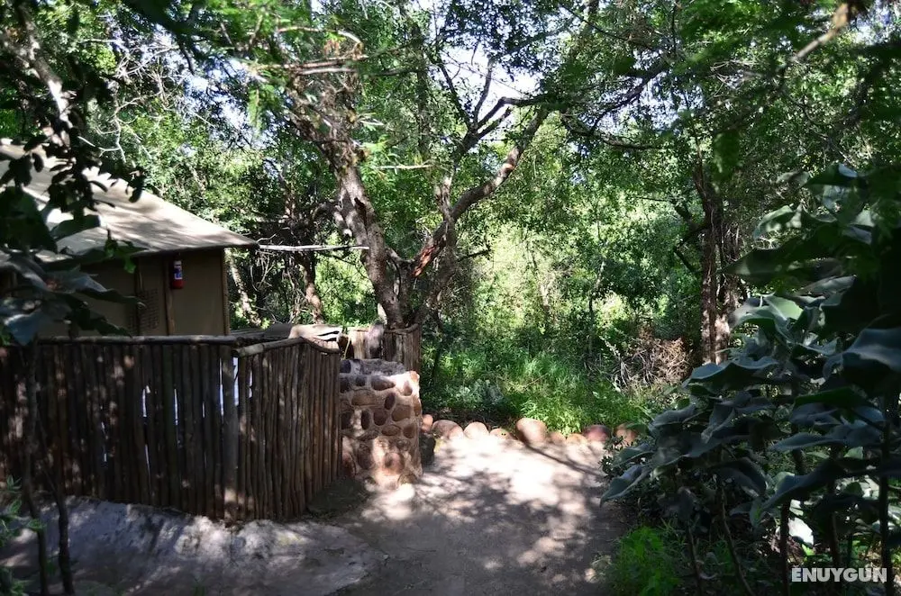 Pure Wilderness in Amanzimlotzi Riverside Bush Tent in Limpopo, Kruger Park - Öne Çıkan Resim