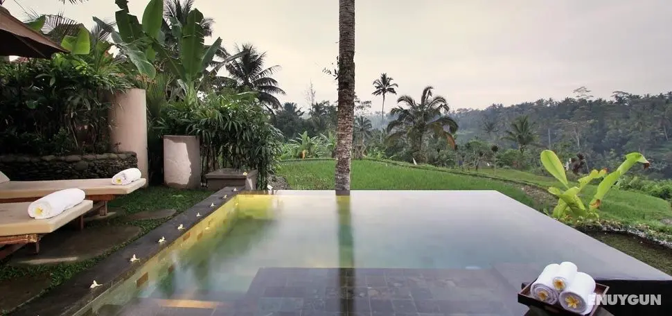 Puri Gangga Resort Ubud - Genel