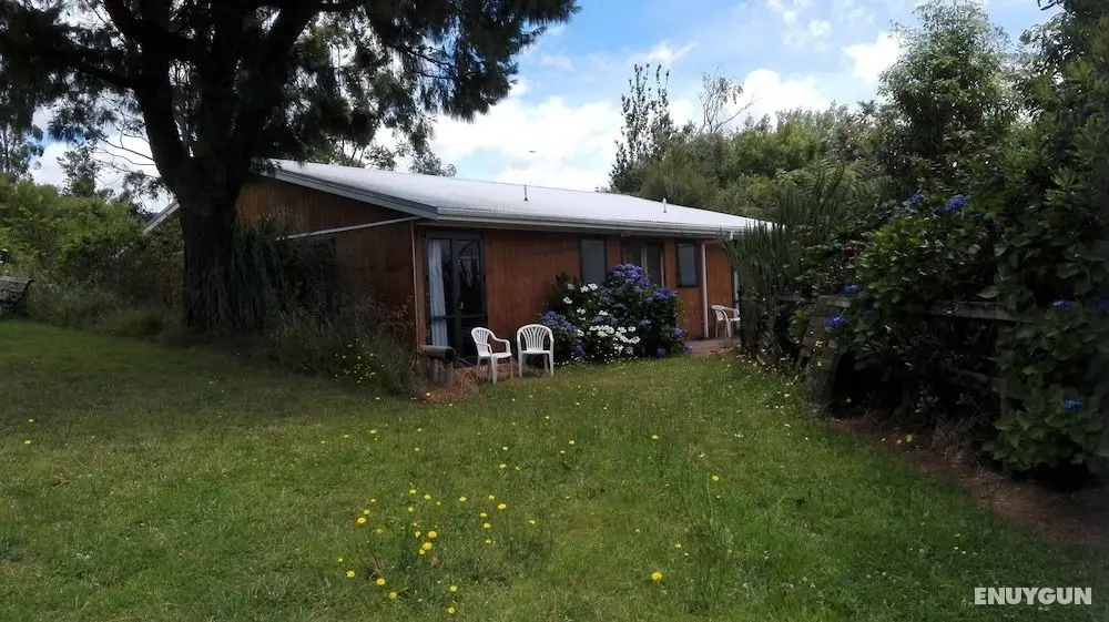 Purple Hen Backpackers - Öne Çıkan Resim