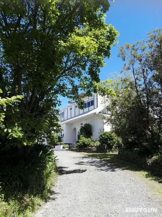 Purple Hen Guest House - Öne Çıkan Resim