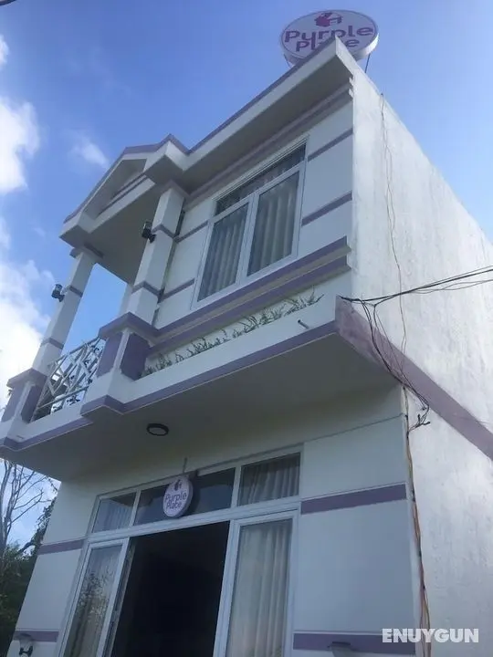 Purple Place Homestay - Hostel - Öne Çıkan Resim