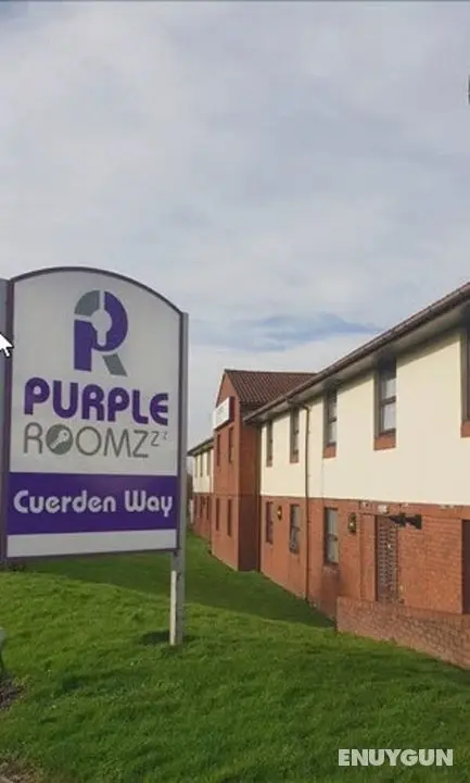 Purple Roomz - Öne Çıkan Resim