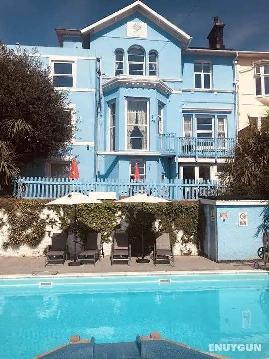 The Purple Tree Guest House - Öne Çıkan Resim