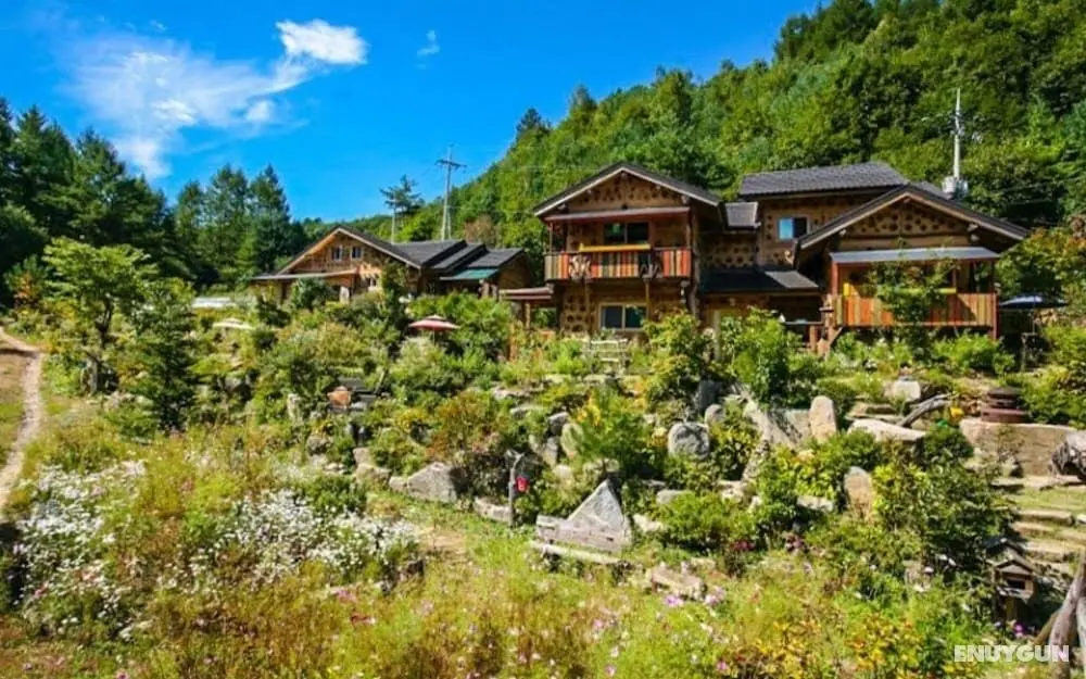 Pyeongchang Dolbaenamu Segeuru Pension - Misafir Tesisleri ve Hizmetleri