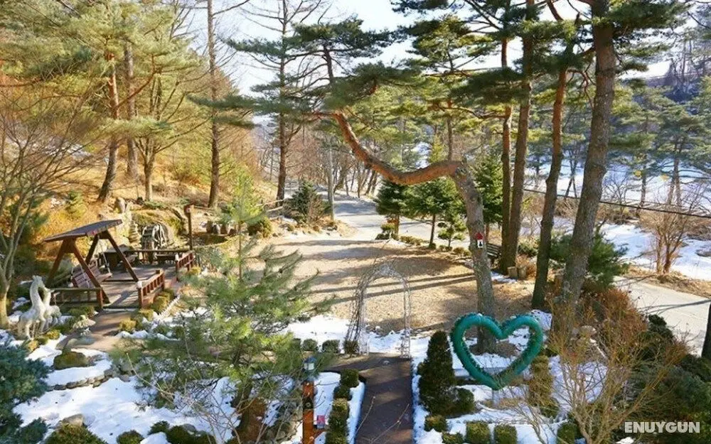 Pyeongchang Donghwasokjeongwon Pension - Misafir Tesisleri ve Hizmetleri