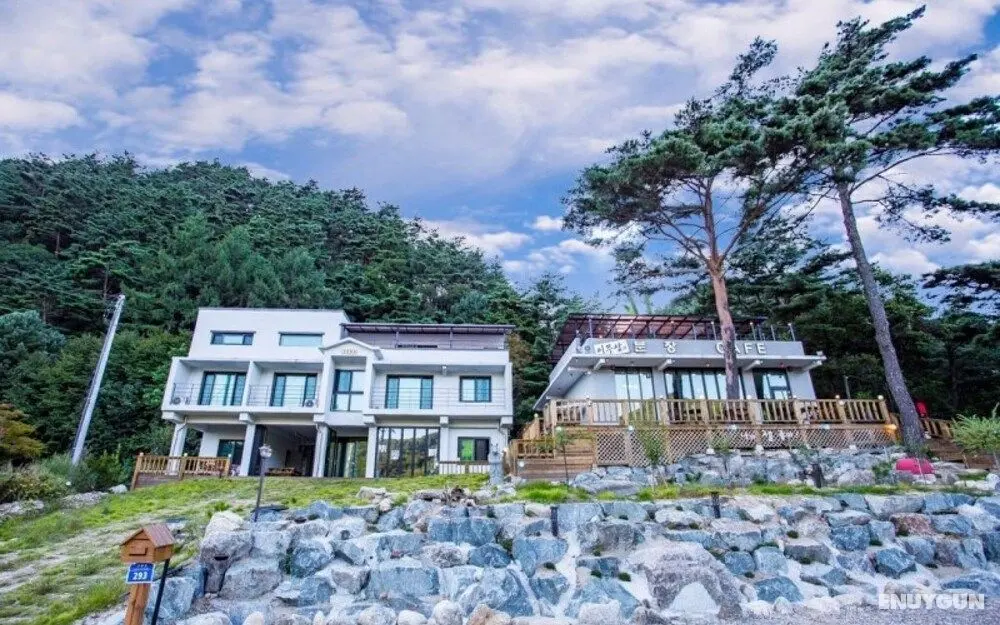Pyeongchang E3bunjang Pension - Misafir Tesisleri ve Hizmetleri