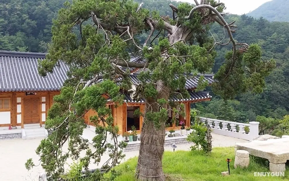 Pyeongchang Goryeogoong Hanok Hotel - Dış Mekan