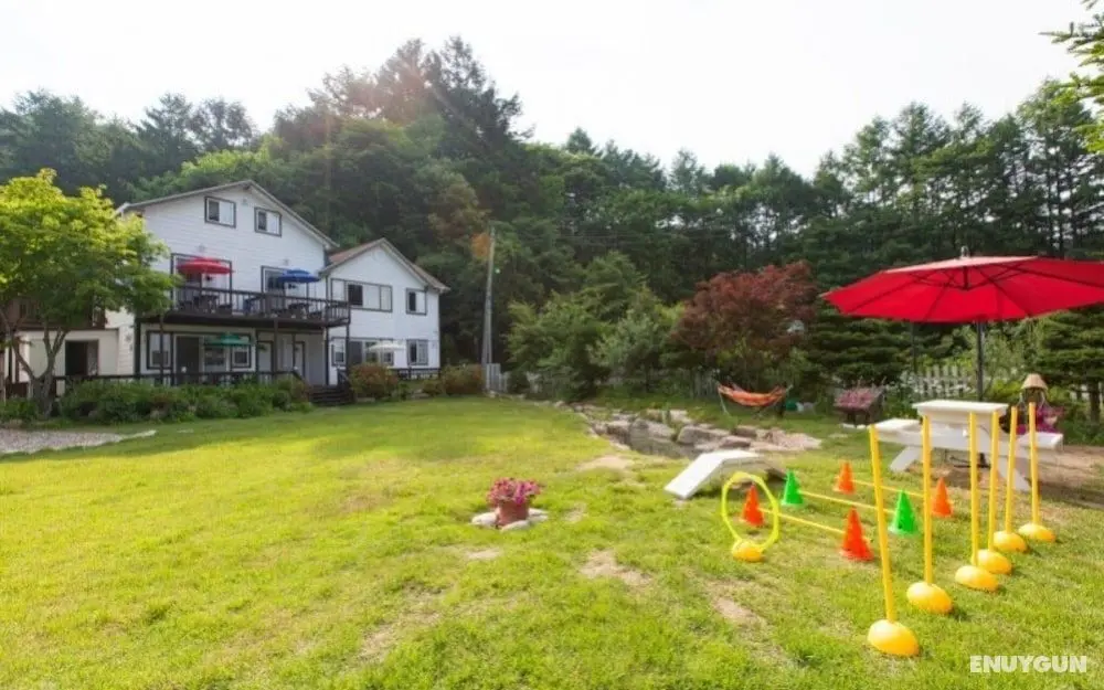 Pyeongchang Healing Hasigae Dog Pension - Öne Çıkan Resim