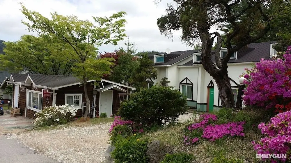 Pyeongchang Hyundai Sweet Village - Öne Çıkan Resim