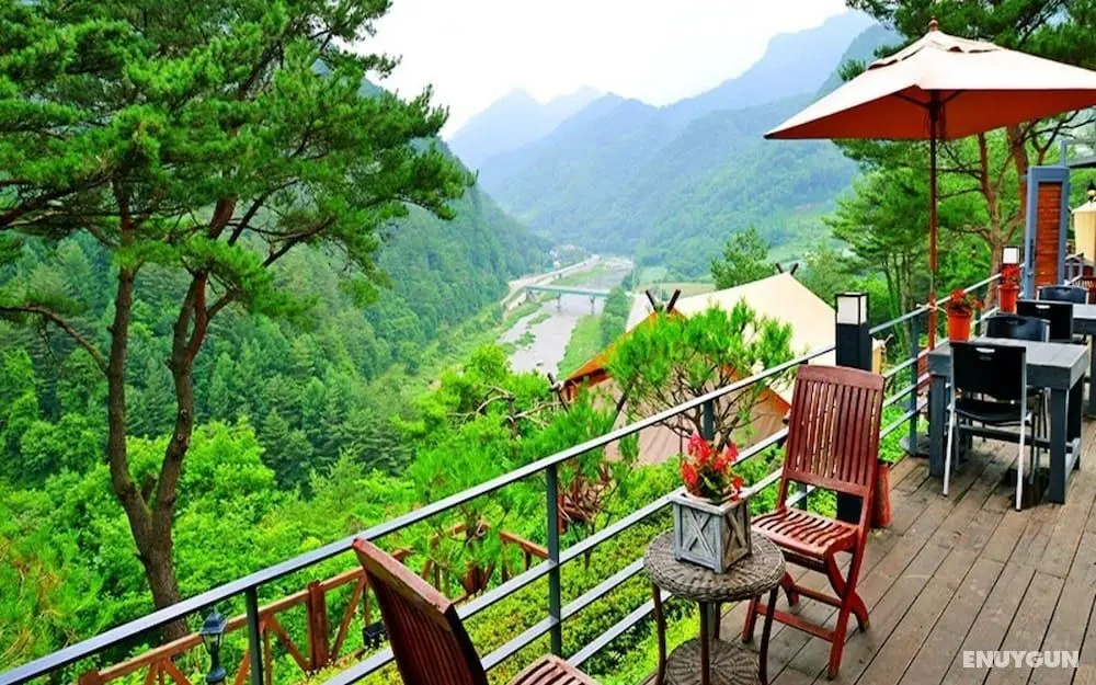 Pyeongchang River Hills Pension - Misafir Tesisleri ve Hizmetleri