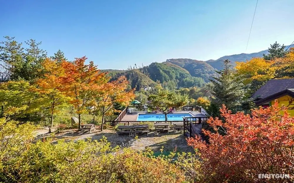 Pyeongchang Rocca and Delfino Pension - Misafir Tesisleri ve Hizmetleri