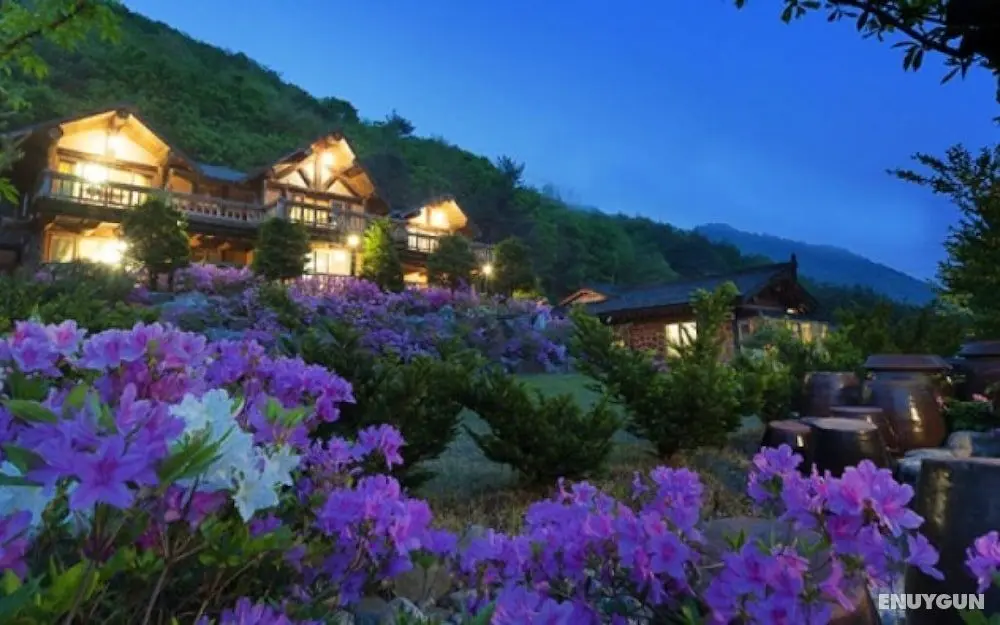 Pyeongchang Sonamoohwangto Pension - Misafir Tesisleri ve Hizmetleri