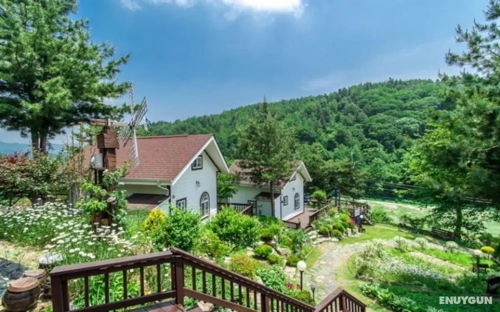 Pyeongchang Sunny House Pension - Misafir Tesisleri ve Hizmetleri