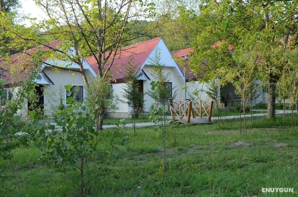 Qabala River Palace - Öne Çıkan Resim