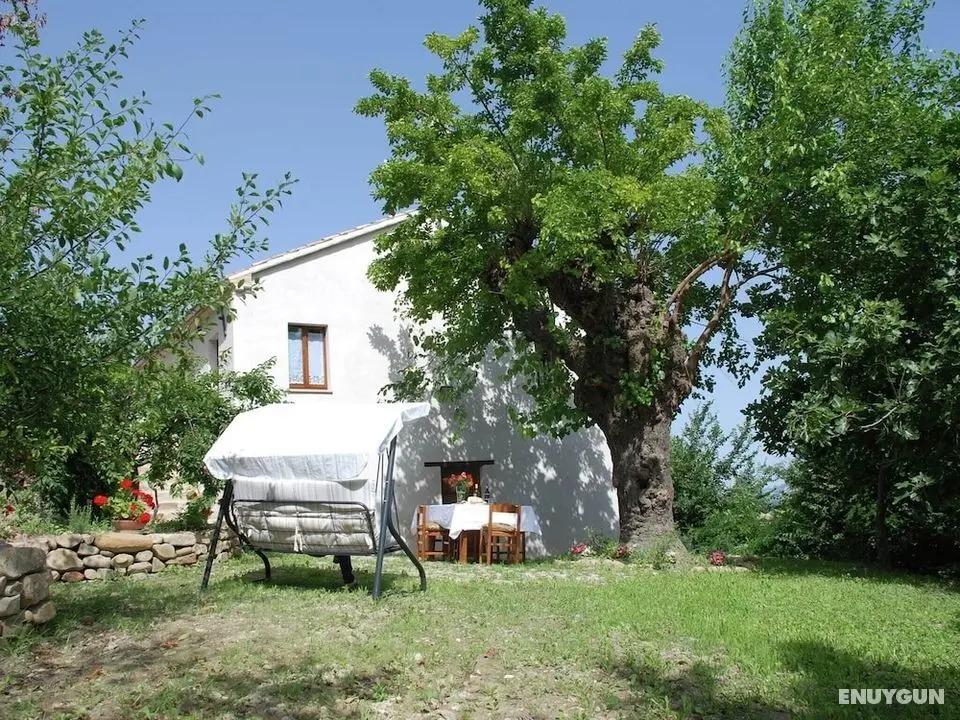 Quaint Farmhouse in Barchi With Garden, Bbq, Fireplace - Öne Çıkan Resim