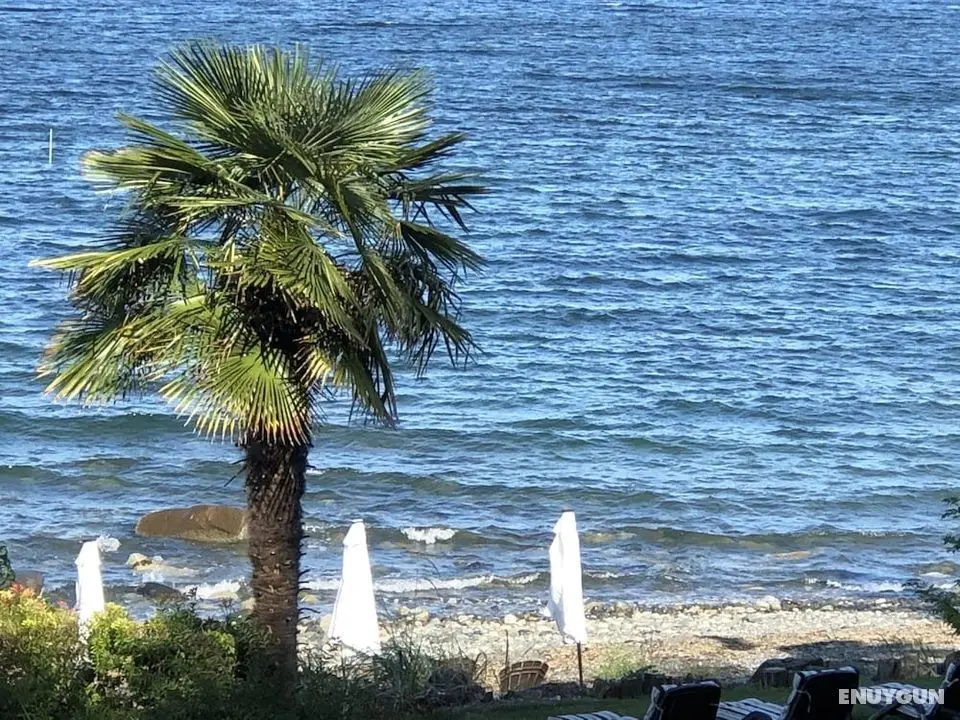 Qualicum Breeze Beach Resort - Öne Çıkan Resim