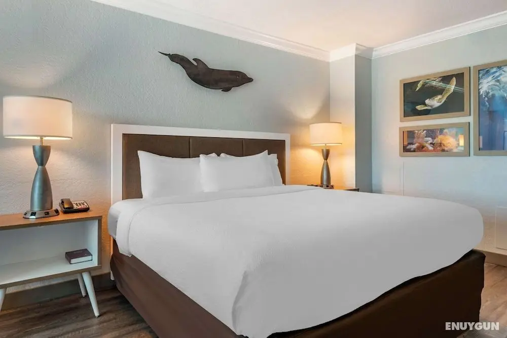 Quality Hotel On The Beach - Oda