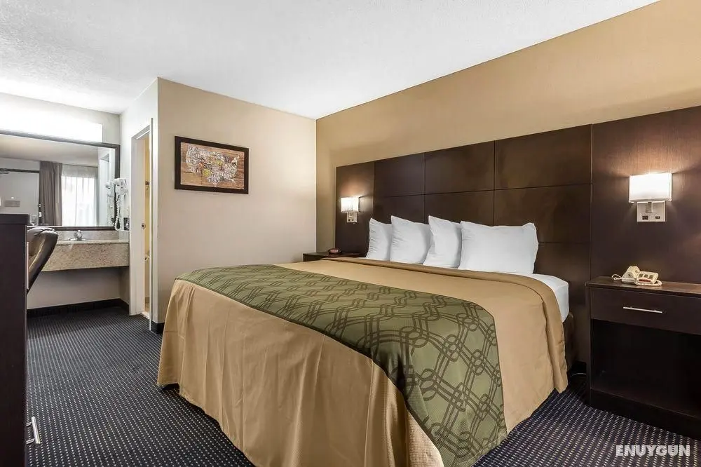 Quality Inn North North Charleston - Genel