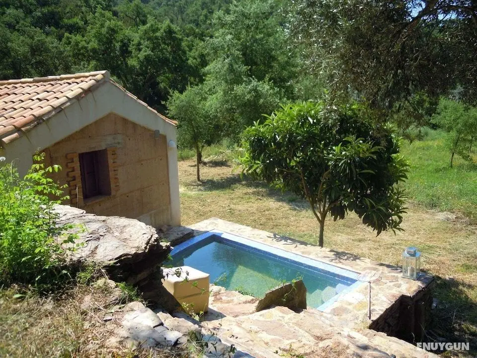 Quiet & Cottage in Estate Casas da Cerca near Troviscais - Öne Çıkan Resim