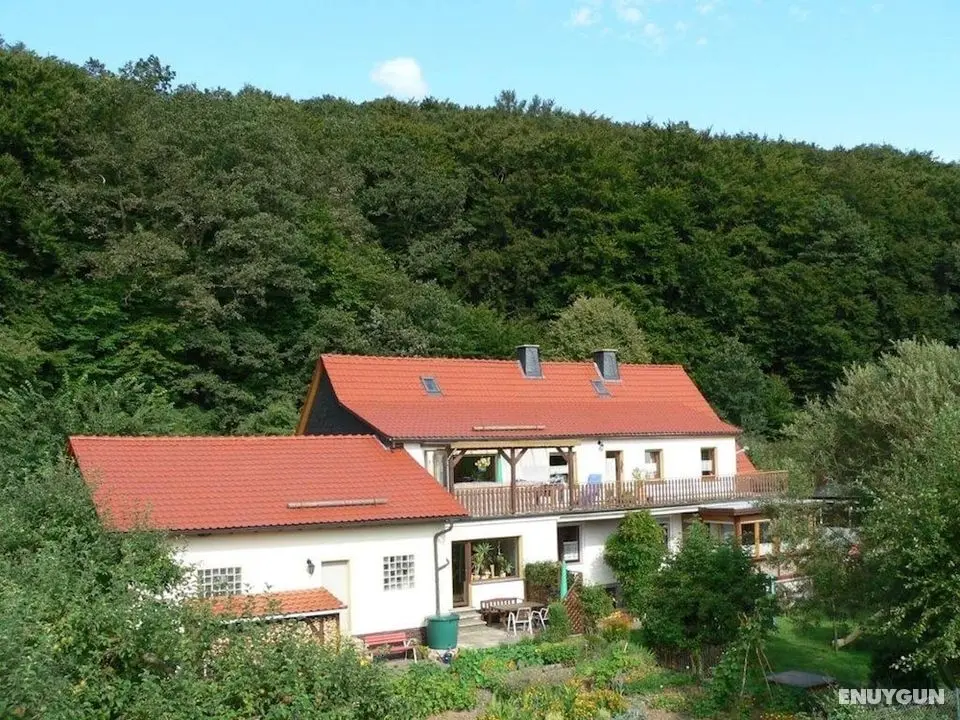 Quietly Located Holiday Home With Terrace at the Edge of the Forest - Öne Çıkan Resim
