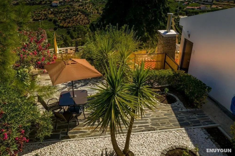 Quinta da Portela Douro - Dış Mekan