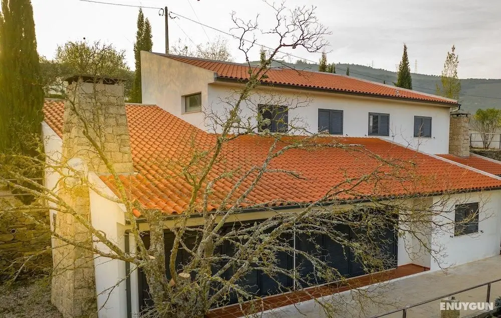 Quinta da Portela Douro - Öne Çıkan Resim