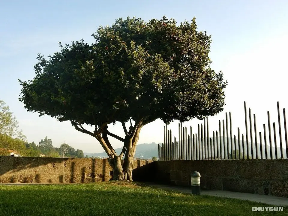 Quinta das Lavandeiras - Caldas de Vizela - Öne Çıkan Resim