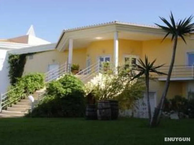 Quinta das Pratas - Manzara / Peyzaj