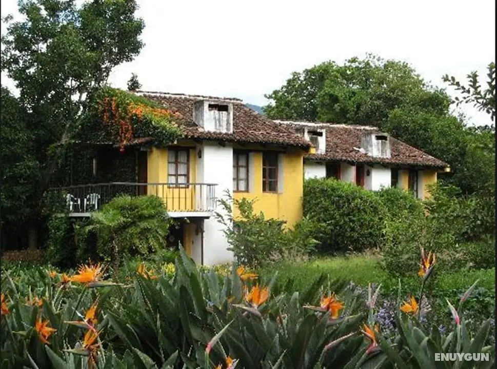Quinta de las Flores - Öne Çıkan Resim