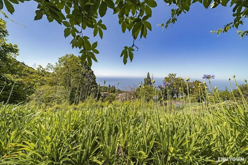 Quinta Devónia II - Tília by An Island Apart - Dış Mekan