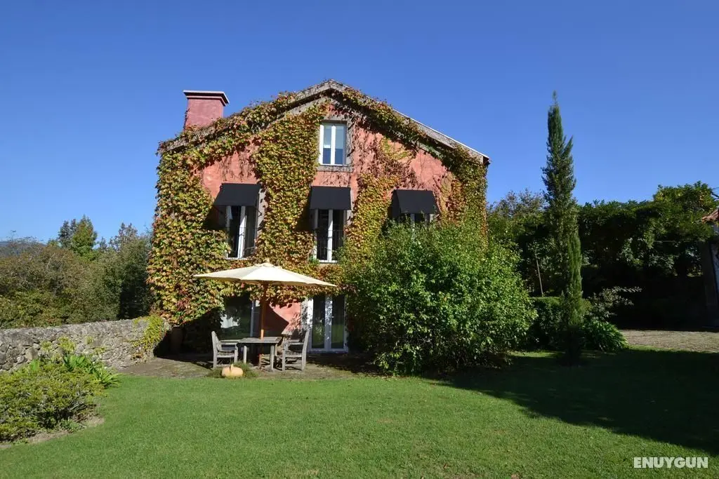 Quinta Do Ameal - Wine & Tourism - Genel